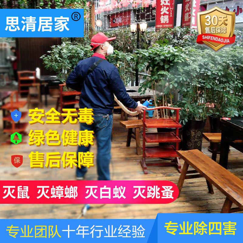 Chongqing Chengdu Professional Extermination Of Fly Dining Hall Hotel Pyretermites Prevention And Control Flea Cockroach Except For Four Evils