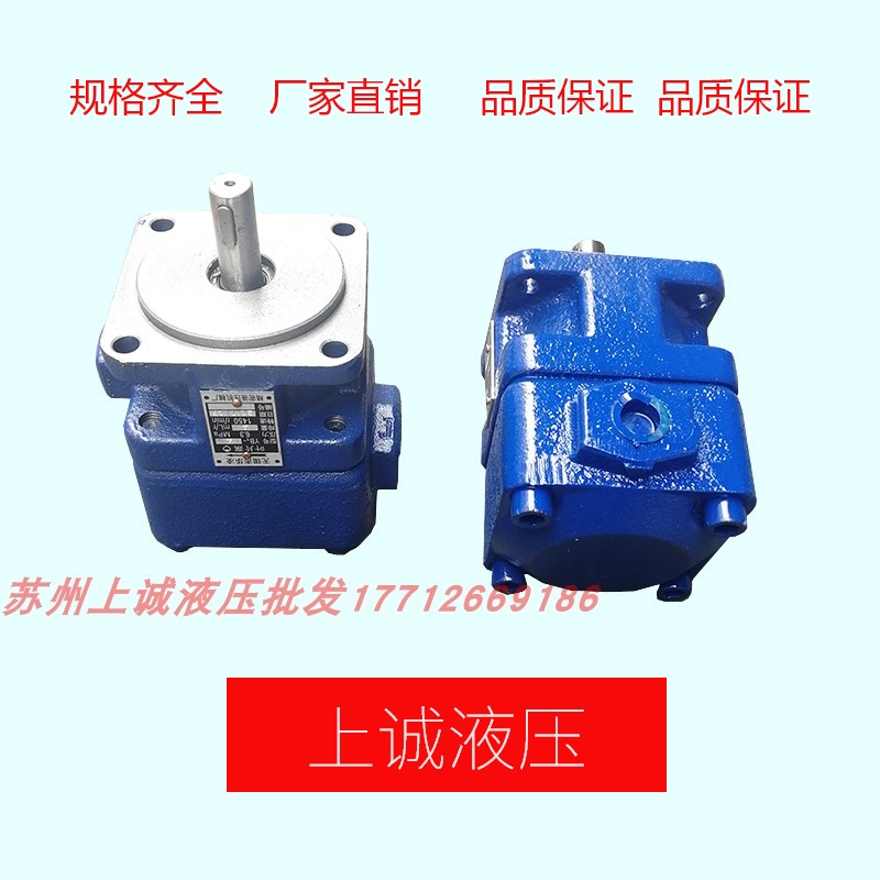 BLADE PUMP YB1-10642 5121620253240506380100 OIL PUMP SINGLE DUPLEX