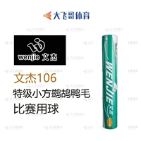 Wenjie 106, скорость 77 (требуется сообщение о скорости 76)