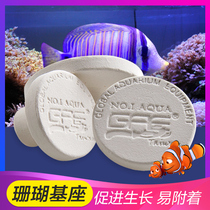 Taiwan AE seawater coral broken limb button base coral base breeding bracket coral ceramic base