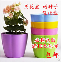 New thick wooden barrel plastic fleshy flowerpot resin balcony small flowerpot