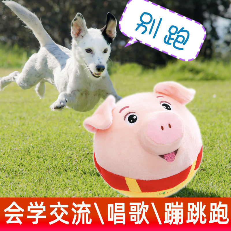 Electric pet toys can sing and dance to tease teddy puppy golden retriever to relieve boredom entertainment puppy supplies jumping ball