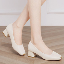 Apricot-colored single shoes womens thick heel middle heel summer 2021 new autumn shoes temperament shallow mouth summer beige leather shoes