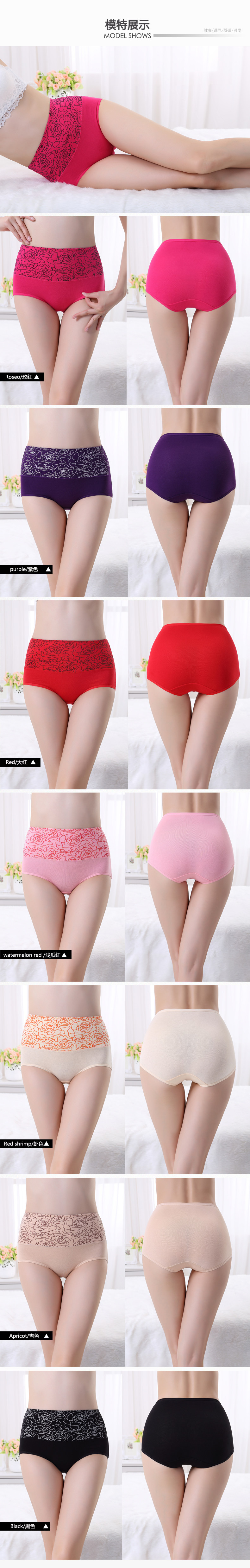 Slip en coton - Ref 666555 Image 10