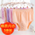 Đặc biệt hàng ngày Phụ nữ trung niên và trung niên cotton cao eo mẹ đồ lót cũ kích thước lớn quần short cotton tóm tắt set quần lót đẹp Eo cao