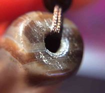 (Snowy Xingfo) How to identify true and false beads nine eyes eight eyes eight eyes to pure calcification cinnabar