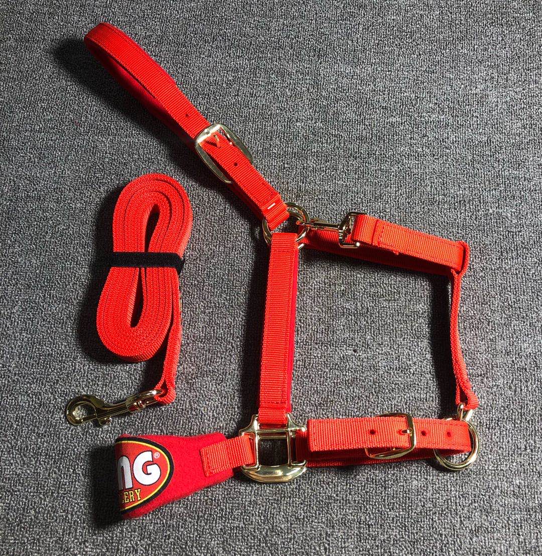 Thick nylon webbing horse harness head + horse rope plus velvet imitation grinding Large, medium and small size complete Wo Qi harness