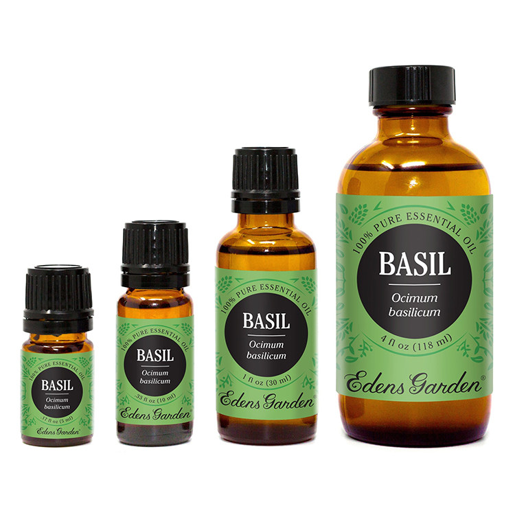Basil-3.jpg