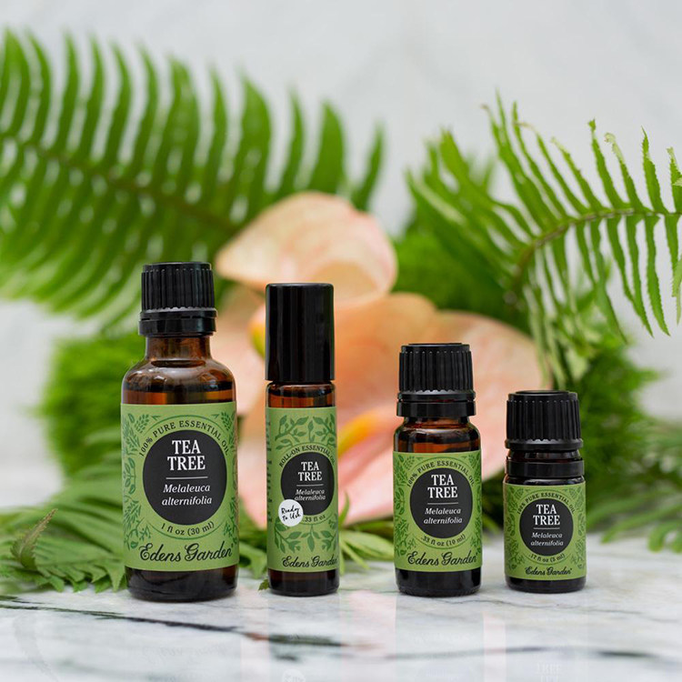 Tea Tree-4.jpg