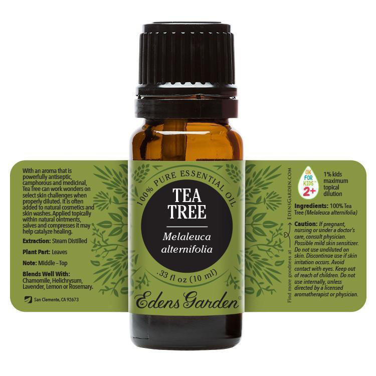 Tea Tree-2.jpg