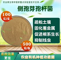 10 billion Bacillus siderosporus inhibits nematodes improves fertilizer efficiency inhibits cyanobacteria purifies water quality improves soil quality and improves soil quality