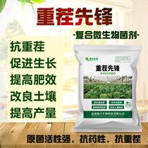 Recommended heavy stubble pioneer compound microbial agent Anti-heavy stubble improvement Soil root enhancement and seedling planting functional bacteria