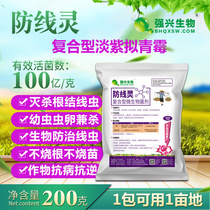 10 billion Linling lilac Penicillium thuringiae complex inhibits root-knot nematode lepidoptera pests