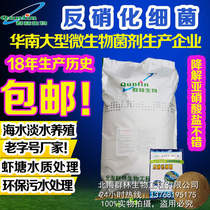 Qunlin biological denitrification bacterial culture Domestic sewage treatment in addition to ammonia nitrogen in addition to total nitrogen reduction nitrite