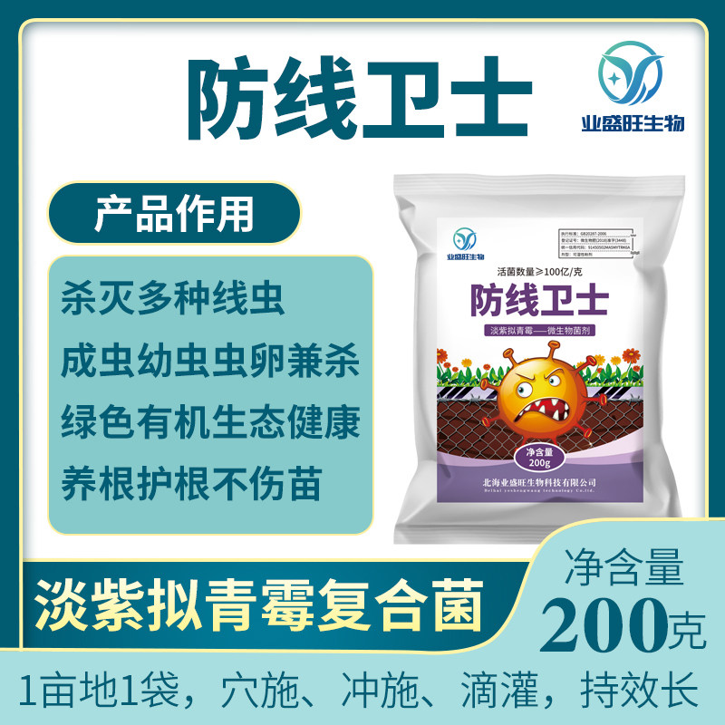 Industry Shengwan Line of Defense Guard Fade of Purple Purple Sportidae to suppress the killing of fruit tree Peppers with large ginger root knot nematodes