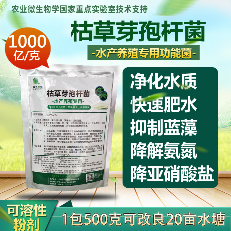 100 billion grams of Bacillus subtilis complex aquaculture medicine cyanobacteria decomposition water purifier feed additive