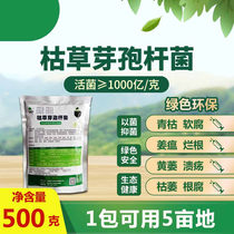 100 billion grams of Bacillus subtilis for agriculture Green organic planting microbial functional bacteria factory direct sales