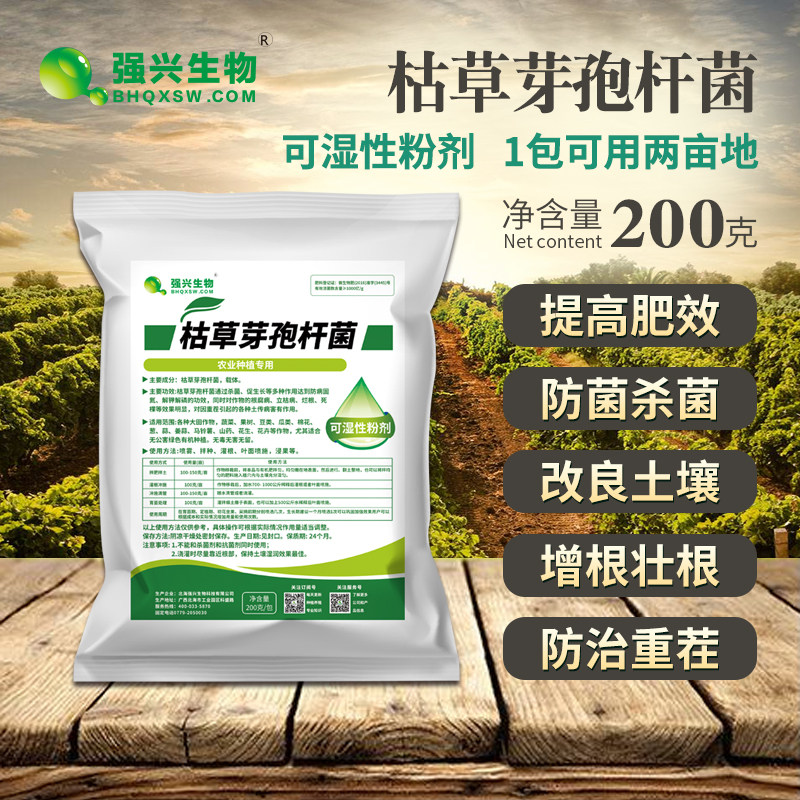 The total water solution of 100 billion bacillus bacterium is preventing and treating withering and withering blistering and rooting anti - heavy stubble root root