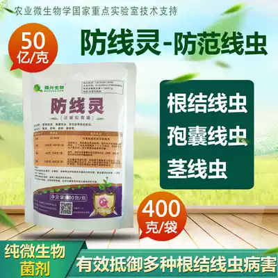5 billion Yuan Ling lilac penicillium drip irrigation microbial bacteria Big ginger lilac penicillium root knot nematode