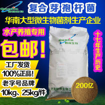 Bacillus Qunlin Bio-organic Bacillus complex Bacillus subtilis for Aquaculture