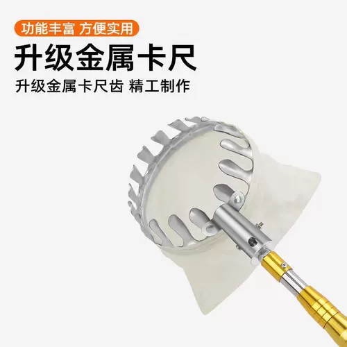 Немецкий Сейко, собирающий стиль, собирая, собирая 20/10 метров толстых деревьев, выбирают каштаны и гранаты