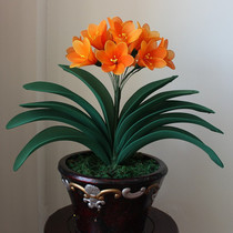 Silk screen flower material DIY handmade stocking flower material package Clivia package double layer wire mesh