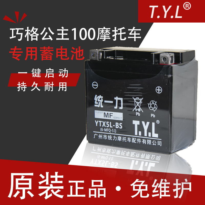 Unified force YTX5L-BS locomotive battery bottle 12V5A pedal mountain leaf princess Qiaoge Xixin Youyue 100