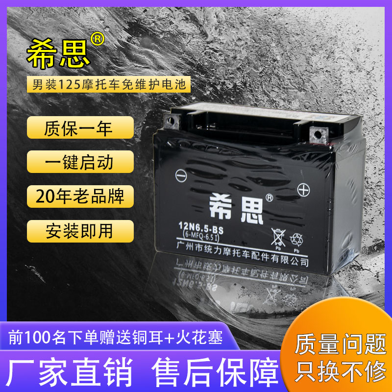 His Motorcycle Dry Battery 12V6 5AH Storage Battery Zong Shen Tian Ma Zhujiang 125 Men's CG125