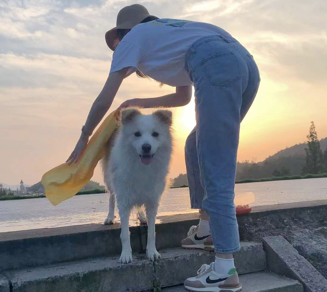 (Bella's) pet absorbent towel