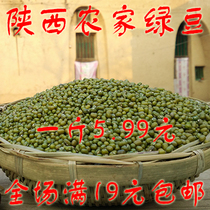 Fresh mung bean grains artificial selection of farmhouse Ming mung bean raw bean sprouts meat thin skin 500g