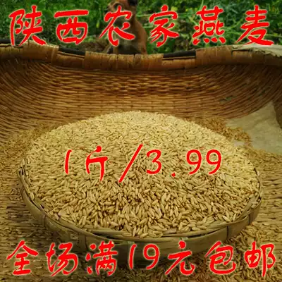 Shaanxi Qinling new high-quality oatmeal rice oatmeal kernels 500g wild wheat bird Wheat oatmeal