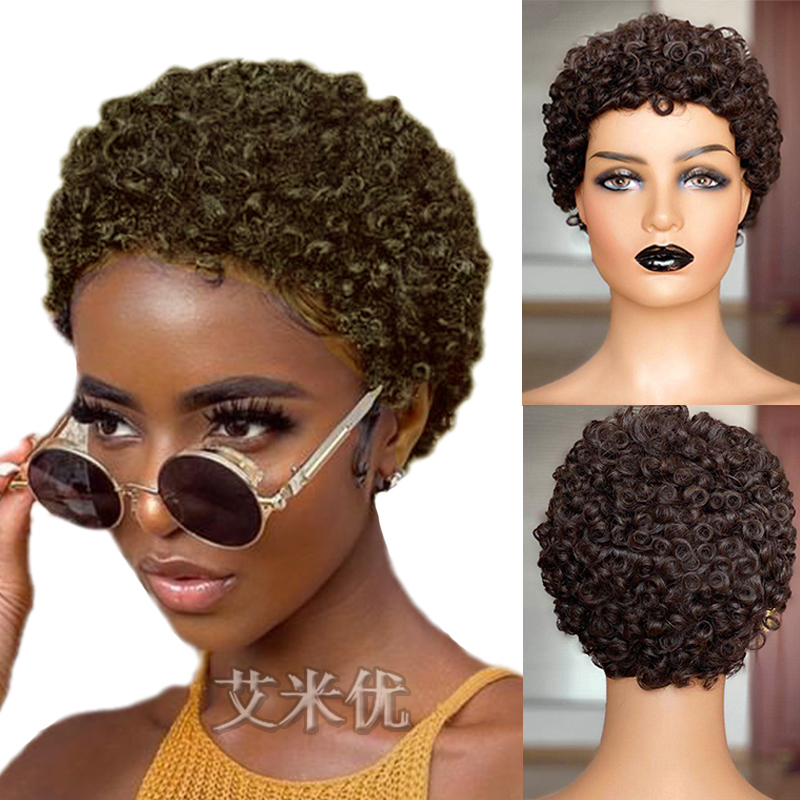 African Small Curly Brown Wig American Style Natural Breathable Fluffy Afro Kinkly Curly Wig