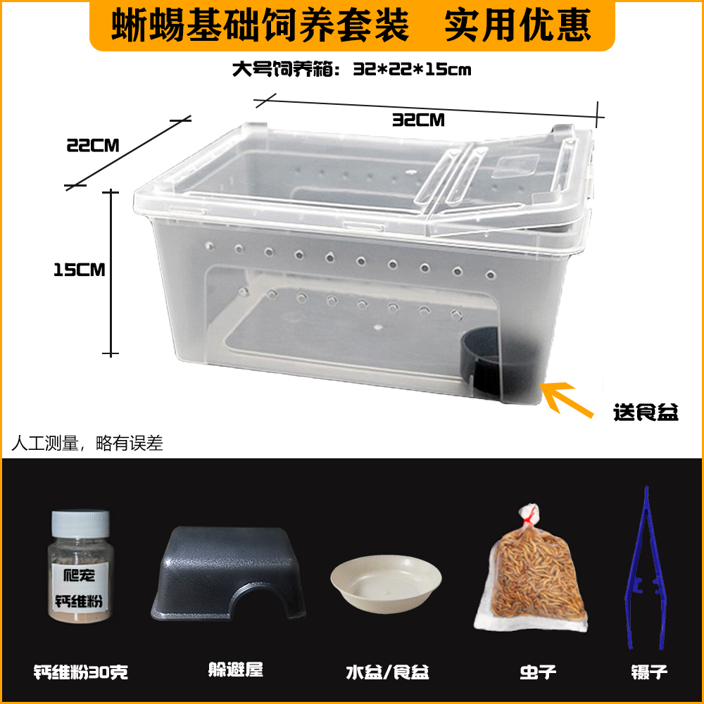 探索睫角守宫喂养的秘密工具箱：多功能套装详解