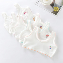 Girl Underwear Hair Development Period Little Vest Girl Elementary School Kids Anti-Bump Pure Cotton Summer Thin child Girl Bra