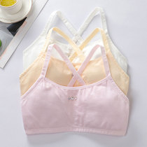 High School Student Adolescent Girls Underwear Hair Care Early Adolescence Day Department Without Steel Ring Bra Thin summer