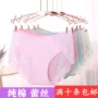 Bán buôn mùa hè Nhật Bản cotton ren gợi cảm trong suốt của phụ nữ đồ lót thấp eo lưới tóm tắt quần màu rắn quan lot nu eo thap