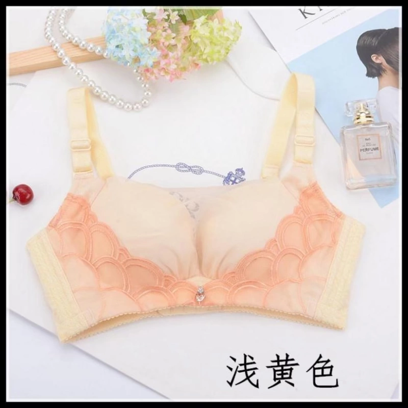 Thương hiệu đặc biệt cung cấp ren chống ánh sáng điều chỉnh áo ngực dày B cup ngực nhỏ tập hợp bên đồ lót bốn hàng khóa