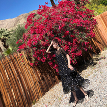 Yang small Roll Romantic stars ruffle irregular skirt two-piece set of floral chiffon sling dress 2021