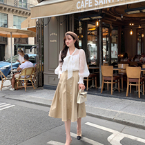 Yang small roll autumn and winter khaki umbrella skirt womens new versatile long a-character high waist pendulum retro pleats