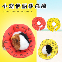 Little pet Elizabeth protective ring Dutch pig hamster ChinChin tortoise rabbit protective cover honey flying squirrel care headgear