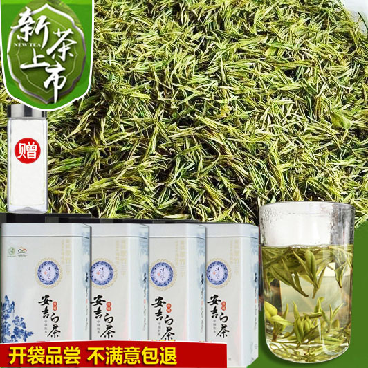 Spot 2022 New Tea Anji White Tea 500 gram after spring tea bulk original origin of authentic green tea cans