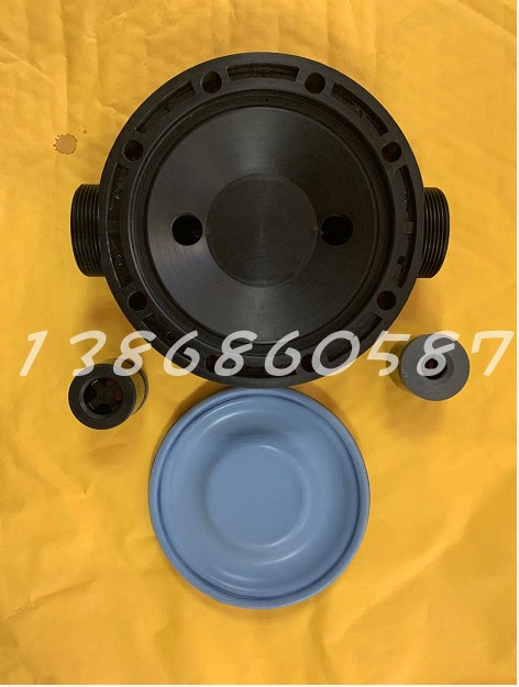 Qianshi Metering Pump Pump Head Pump Cover Diaphragm One-Way Valve Qianshi Valve Core Kdv-43L/33L/53L/73L/33H