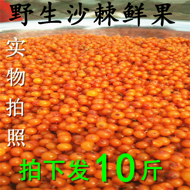 Lv Liangshan fresh sea buckthorn fruit natural wild extra-grade sea buckthorn fresh fruit juice to do enzyme 10 catty special price