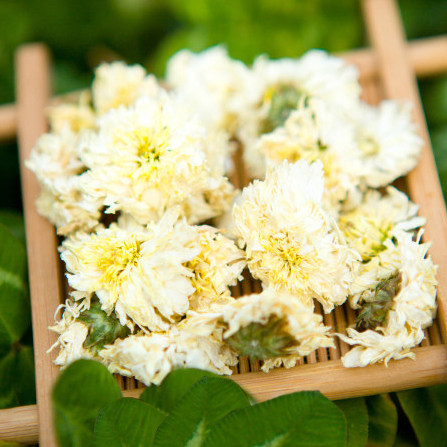 Authentic Huangshan Gongju Chrysanthemum Tea Leaf tea Herbal Tea White Chrysanthemum edible No sugar New tea 50 gr canned Non-July Chrysanthemum Flowers