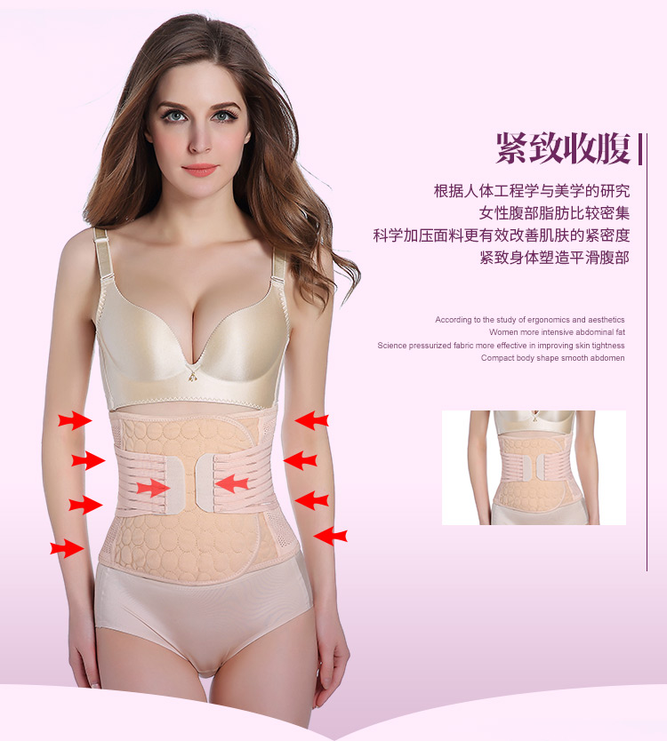 Vành đai bụng, dây thắt lưng, dây đeo, lấy lại thắt lưng, thắt lưng nhựa, corset giảm béo, bụng, cơ thể hình thành, corset, thắt lưng, mỏng nữ