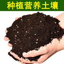 Balcony garden flower seedlings vegetable seeds special nutrient soil special offer-ziplock bag about 200 grams