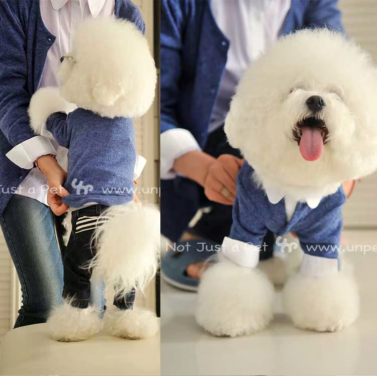 UNPET Breguet Pet Dress Quần áo Teddy Bear Bear Áo thun dài tay Áo khoác nịt màu xanh Chó Áo len Hàn Quốc - Quần áo & phụ kiện thú cưng