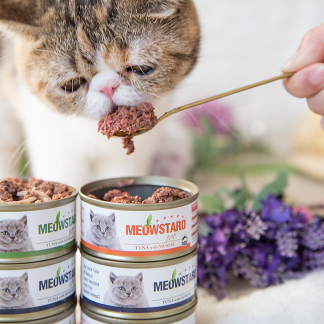 Meowda eco red meat canned cat ໂພຊະນາການຜົມ gills ນໍາເຂົ້າ aspic wet foods into young cat meat snacks 80g free shipping