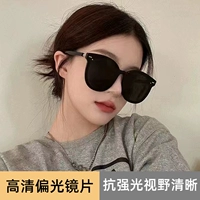 GM-Bears [HD Polarizers]