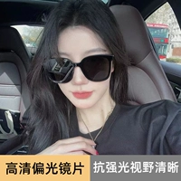 GM-Visit 【HD Polarize】